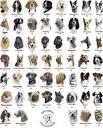 Dog Type | Dog-