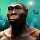 ... have been found at Dmanisi in the Republic of Georgia (Western Asia) and ... - Homo_erectus_560