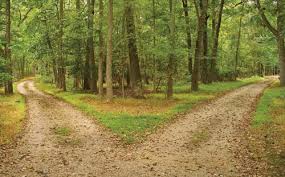 which way?