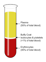centrifuged blood