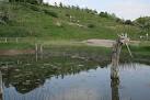 The specific interest is that this is a saltwater environment, as the water - via Daymix