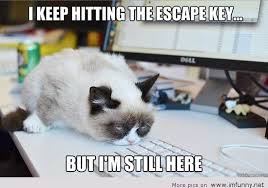 Post a Funny Pic