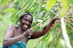 Rural Banks Make Life Better for Women in Uganda