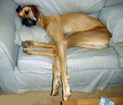  Snore