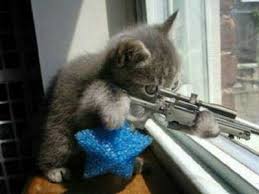 images?q=tbn:ANd9GcSyXxa0ocXPOejPid0f3F4viEJpnvjurT_sz8g8DT1YOKQbuJSZ7Q