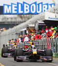 How are black swans at Albert Park affected by the Australian.
