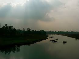 http://t1.gstatic.com/images?q=tbn:ANd9GcSyot0NrdtuuYlsy-K4_Rutofgoyea7SoCoAUWIigwTQoXeKlSUeg
