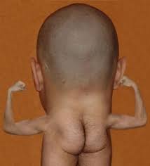 images?q=tbn:ANd9GcSyzymspj0uCFxpG5c6SM3ViF-fflNHEodyEaogpThxYgsM1ATF