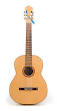 http://upload.wikimedia.org/wikipedia/commons/thumb/2/24/Guitar_1.jpg/127px-Guitar_1.jpg