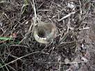 I'm aware that the rule is to leave baby birds alone if found but as this - via Daymix