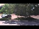 Colorado Wildfire: Some watched and taped as homes burned down ...
