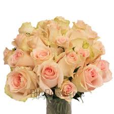 Nirvana_Light_Pink_Rose_Bunch350_9f64878b.jpg - Nirvana_Light_Pink_Rose_Bunch350_9f64878b