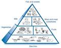 What I need to know about Eating and Diabetes - National Diabetes ...