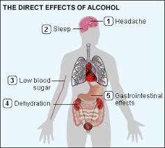 effects of alcohol