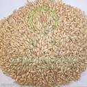 barley malt products, buy barley malt products from alibaba.