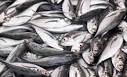 7 Ways Food Allergies Could Benefit You (& the Earth) lots-of-fish