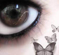 images?qtbnANd9GcT yZPsoI3yAoTXNZ13WlR5P27HiRakAFiXDZ8JVkJTud1q8fBHYwP4TAnr