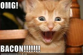 external image images?q=tbn:ANd9GcT01Cpwoeq4rRBzbvaIQv8QKHTrHosvyu_UqF5WujUtLLSoMtcC