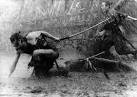 1000 DVDs To See  Seven Samurai