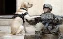 Dog Cries When It's Soldier (Daddy) Returnes Home! — LOYAL K.N.G.