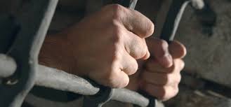 Reform der Strafvollzugsgesetze der Länder. Gefangene müssen ihre Rechte einklagen können. von Prof. Dr. Christine M. Graebsch, Dr. Sven-U. Burkhardt - knast_535
