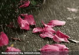 http://t1.gstatic.com/images?q=tbn:ANd9GcT0jSFhAzVUaAGOGMhbq-C7BQL8P56oVv37iuJGb2z6PDcNpl1C