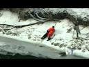 Raging snowstorm wreaks havoc across US midwest - Worldnews.