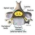Cervical Artificial Disc Replacement | eorthopod.
