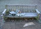 Teenagers woz ere! I took this photo because I noticed the bin was about 5 - via Daymix