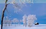 Wonderful Winter - Winter Wallpaper (27868561) - Fanpop fanclubs