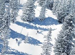 external image images?q=tbn:ANd9GcT2B4ghS_W3YGcl9CSlwfeUAvzaN_vF50uRsD78TLJgSQeSKTyK