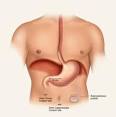 Gastroparesis | ACG Patients