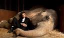 Water for Elephants