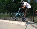 Dave Mirra - BMX Wiki