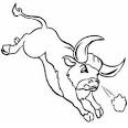 Bull coloring page