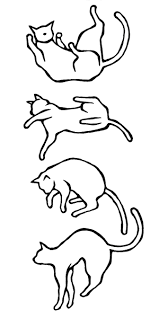 http://t1.gstatic.com/images?q=tbn:ANd9GcT2wZZiLuvvFEQWNzFPg--e6ssPp6QDg_d0eaec2MLj5_4oC6zW