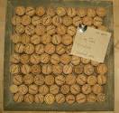 6 DIY Wine Cork Crafts | Oregon Winette