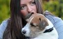 Jack Russell Cody with Carli - jack-russell-lassi_1211515c