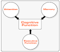 About Cognitive Testing