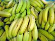 Cavendish banana - Wikipedia, the free encyclopedia