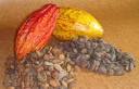 Cacao Beans direct from Indonesia retail and wholesale cacao