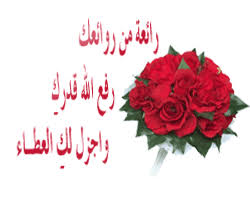 دروس من قصة نملة Images?q=tbn:ANd9GcT4GXYMRlzc5oXOAk0OM5ppZyKzCRQ1337zLM3uTYlygAgs9lcE_0n3_dL6