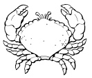 Crab coloring page