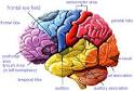 Learning Disabilities