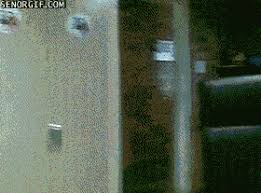 images?q=tbn:ANd9GcT4at8p6Wg0Vd3AlutMyNi2Z_OAyQ04-zRZc9_LGOGOeT6uGsYR&t=1