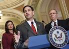 Photograph : OBAMA BIRTH CONTROL - Las Vegas Sun