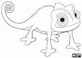 Chameleon coloring page