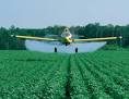 Controlling Plants Chemically