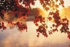 Don't Be Fooled By September's Market Rally | iShares Blog