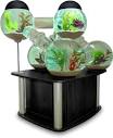 15 Cool and Amazing Fish Tank Aquariums | Creative Art , Design ...